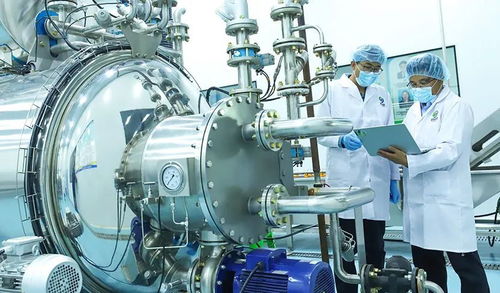 科技賦能植物工廠(chǎng)，張掖農(nóng)特產(chǎn)品提質(zhì)增效